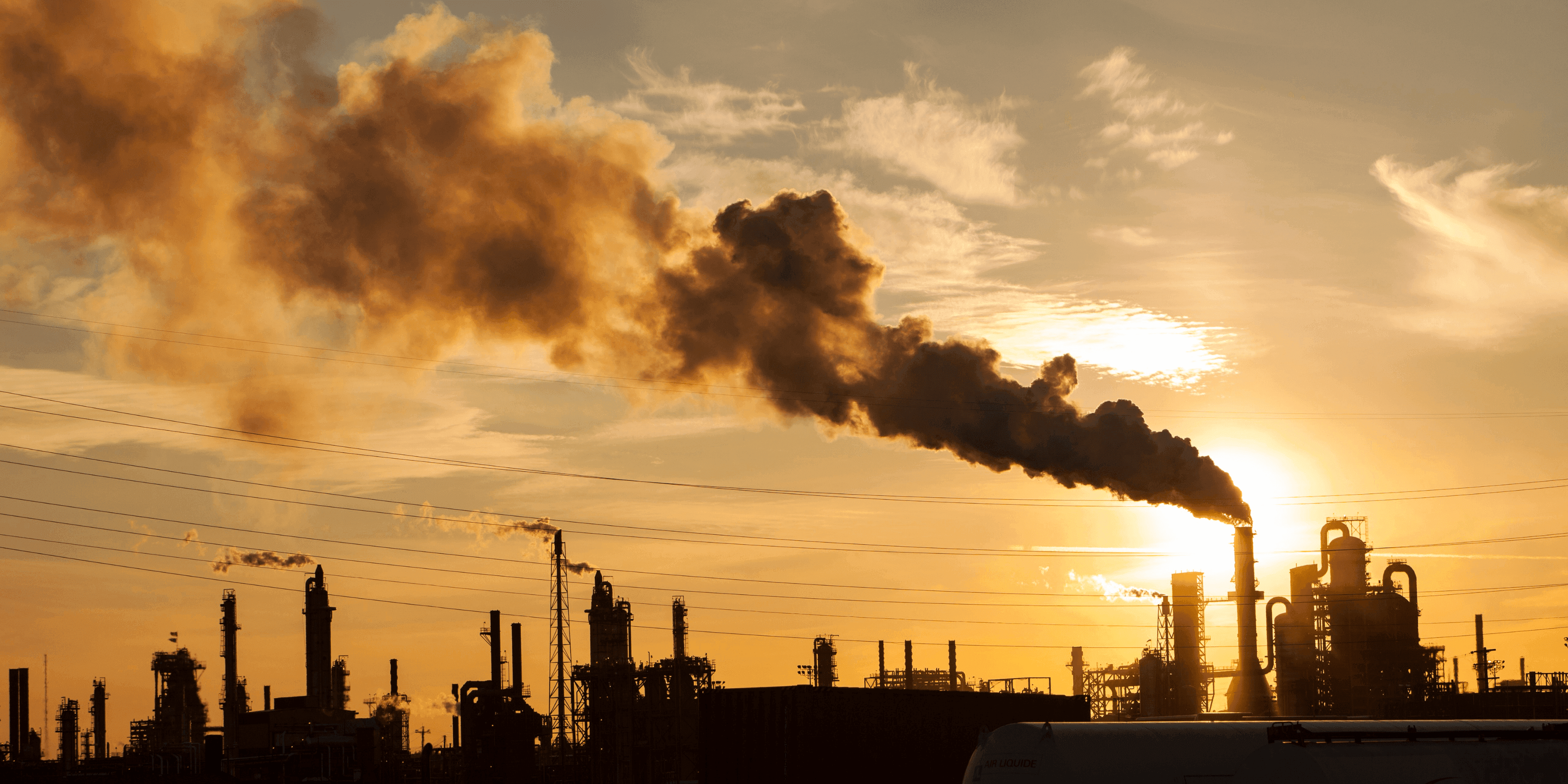 The Unrivaled Champion of Chemical Resilience